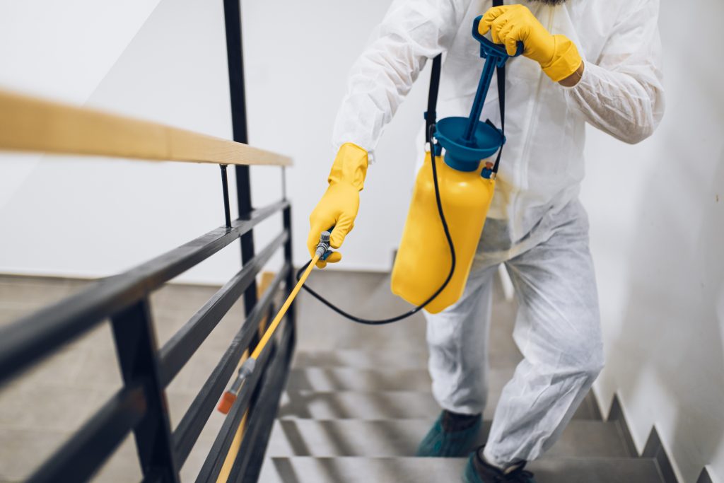 Homme en combinaison désinfectant avec un pulvérisateur dans un logement insalubre à Vesoul